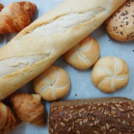 酒店 塞浦路斯酒店